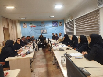 برگزاری دومین کارگروه ناباروری استان